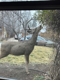 Lots of visitors during morning coffee.