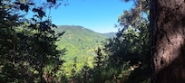 Mountain view from garden