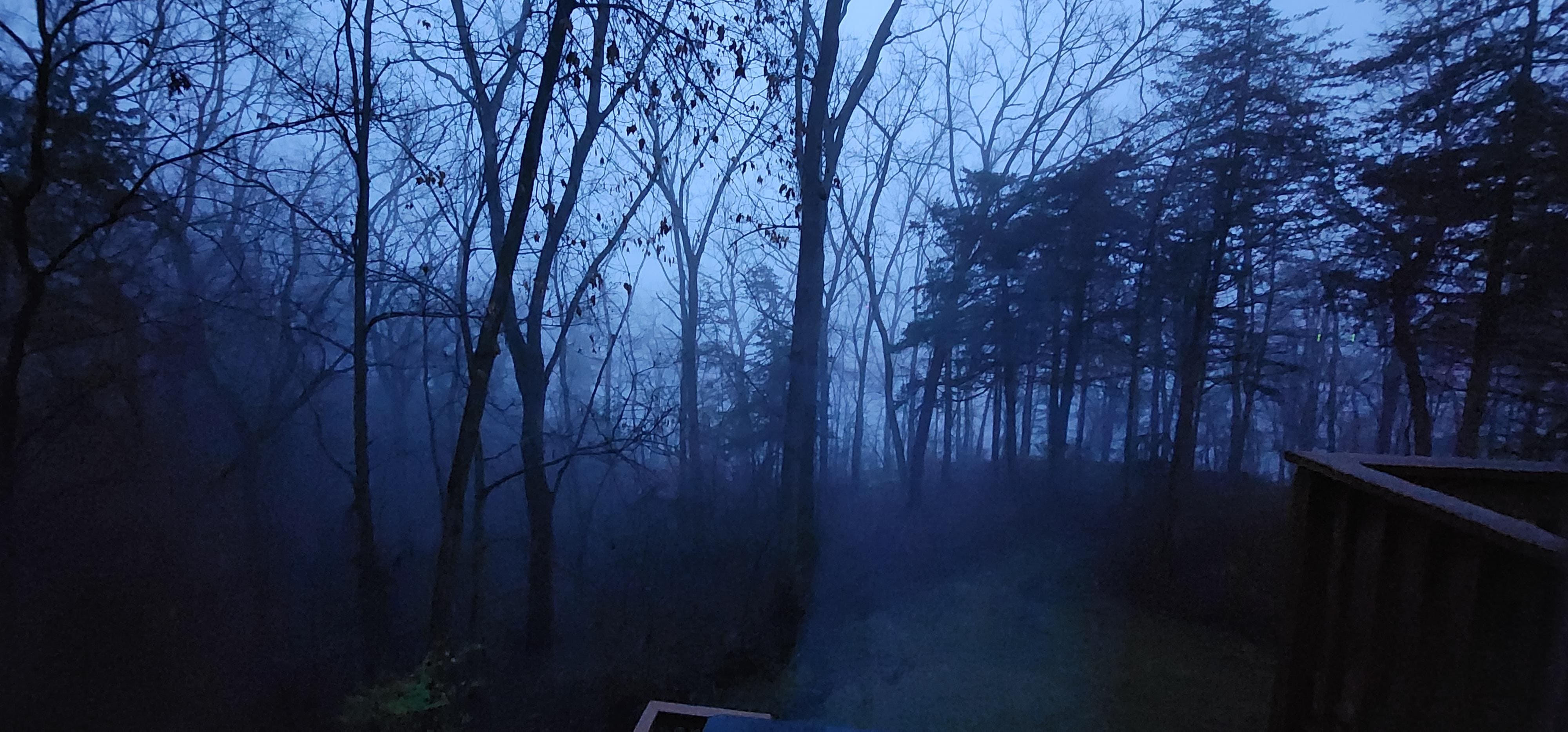 Nothing like a scary book with the fog on the lake...