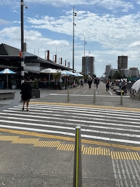 Part of the walk along the harbour