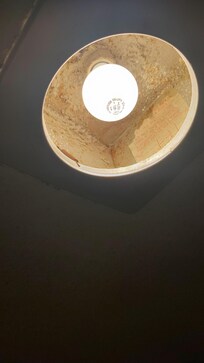 Open wires near shower