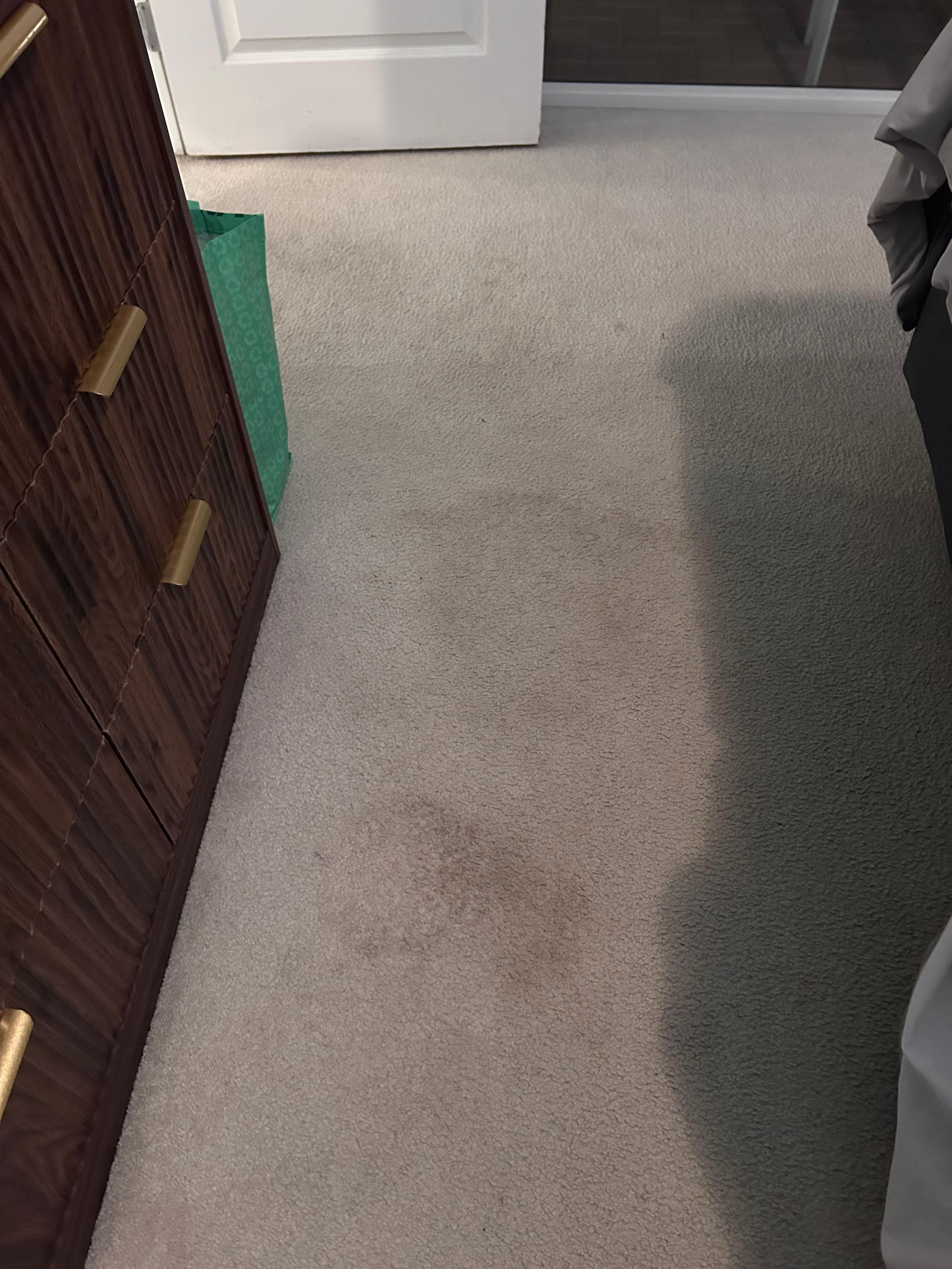 Master bedroom carpet