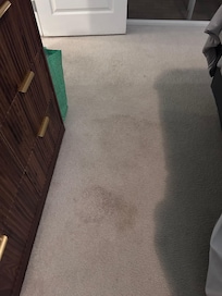 Master bedroom carpet