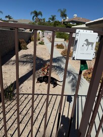 This was our doggy in the doggy area.