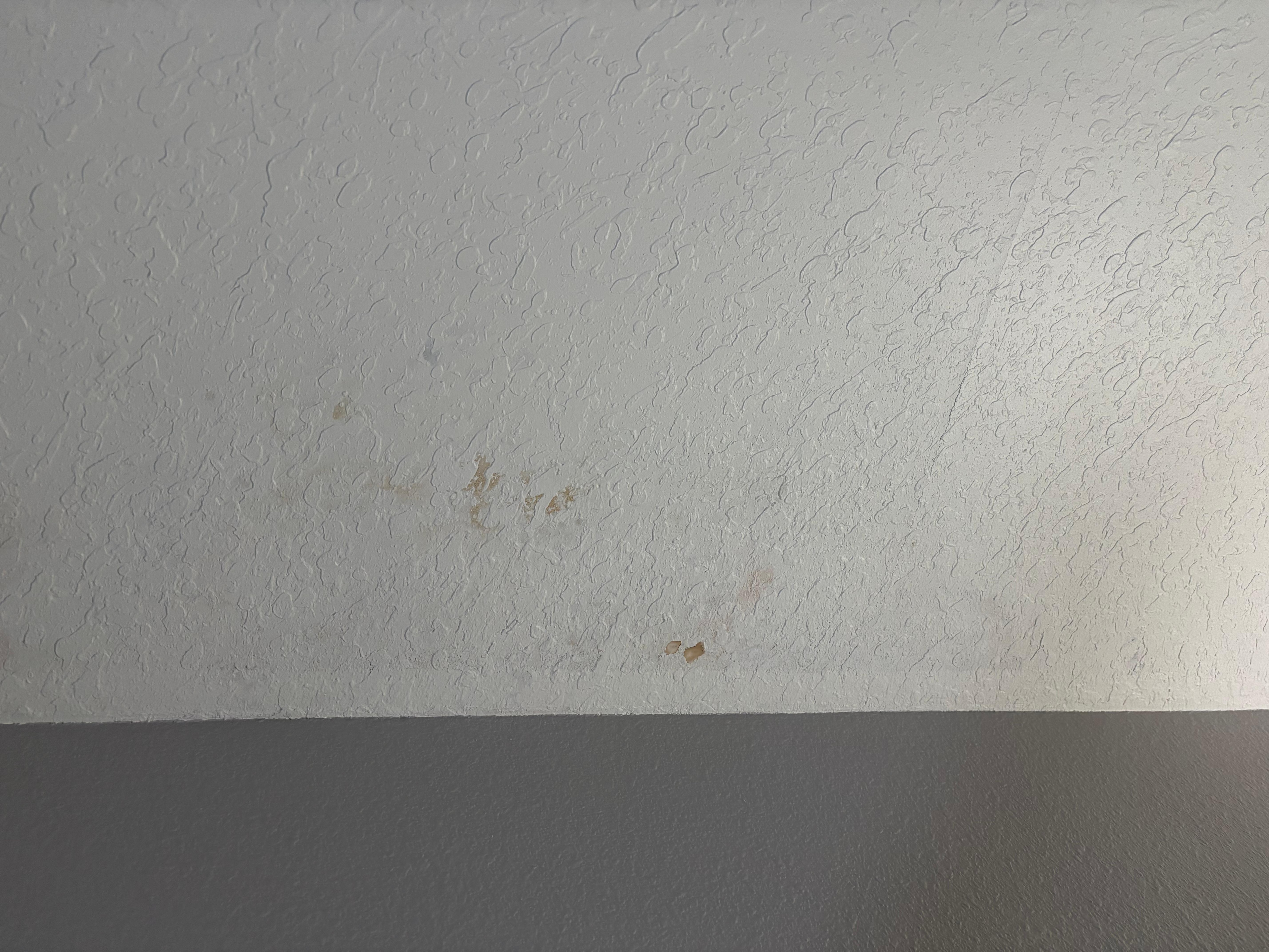 The ceiling above one of the beds