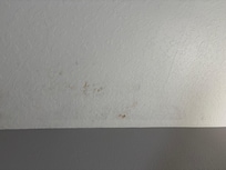 The ceiling above one of the beds