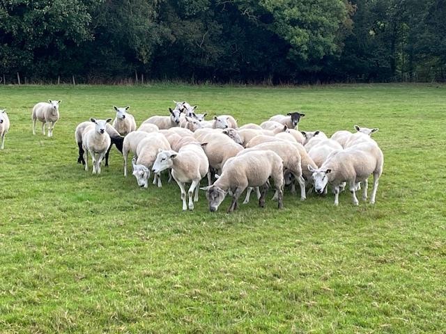 Friends along the way...