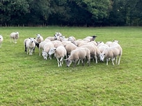 Friends along the way...