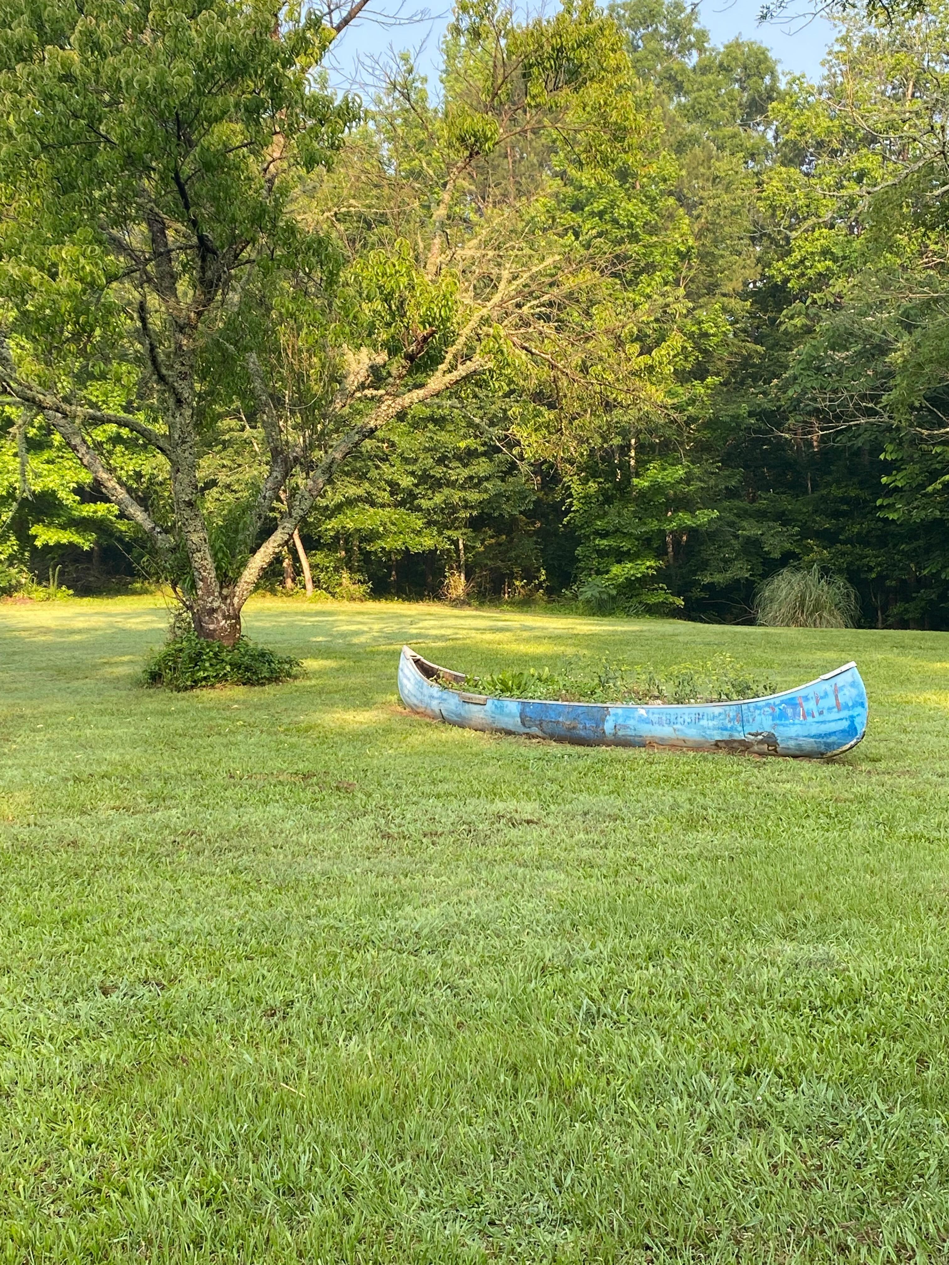 Love the canoe with flowers planted in it 