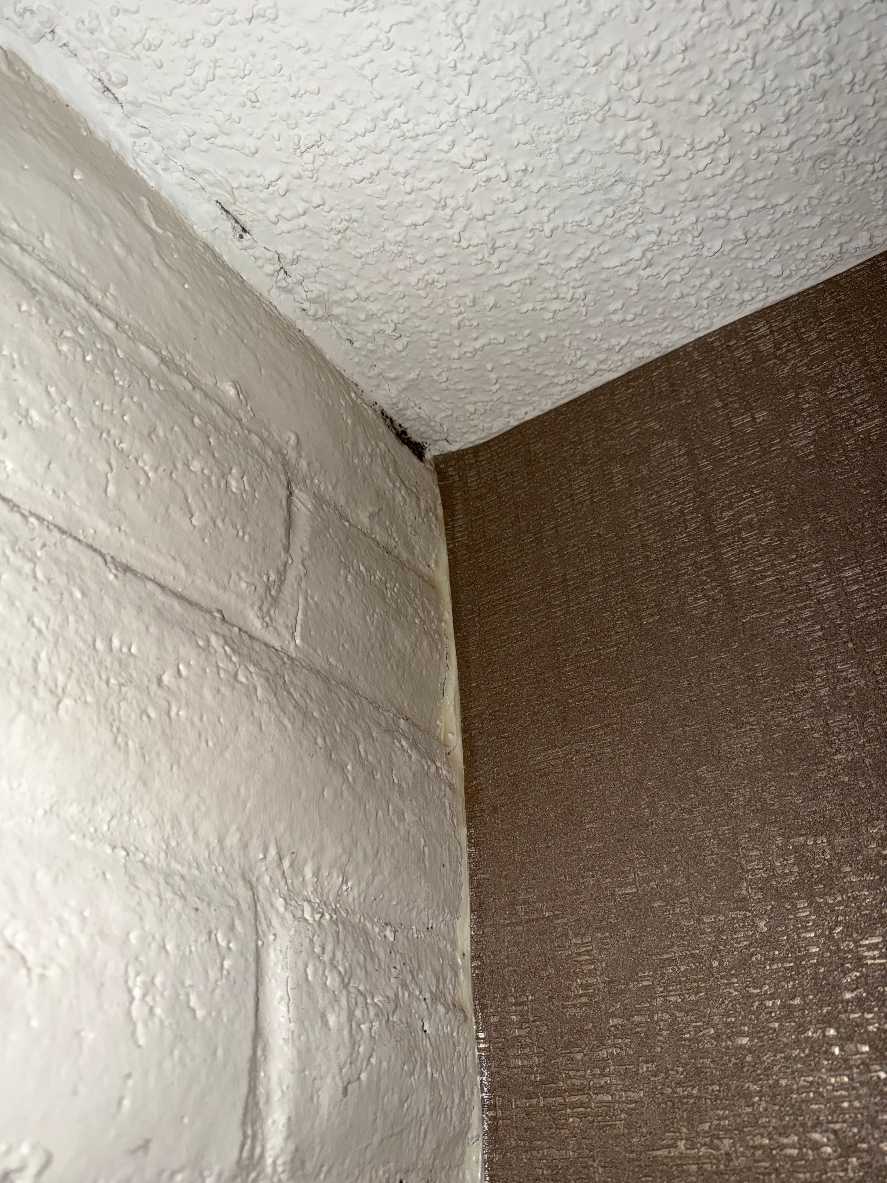Mold by the side of the bed