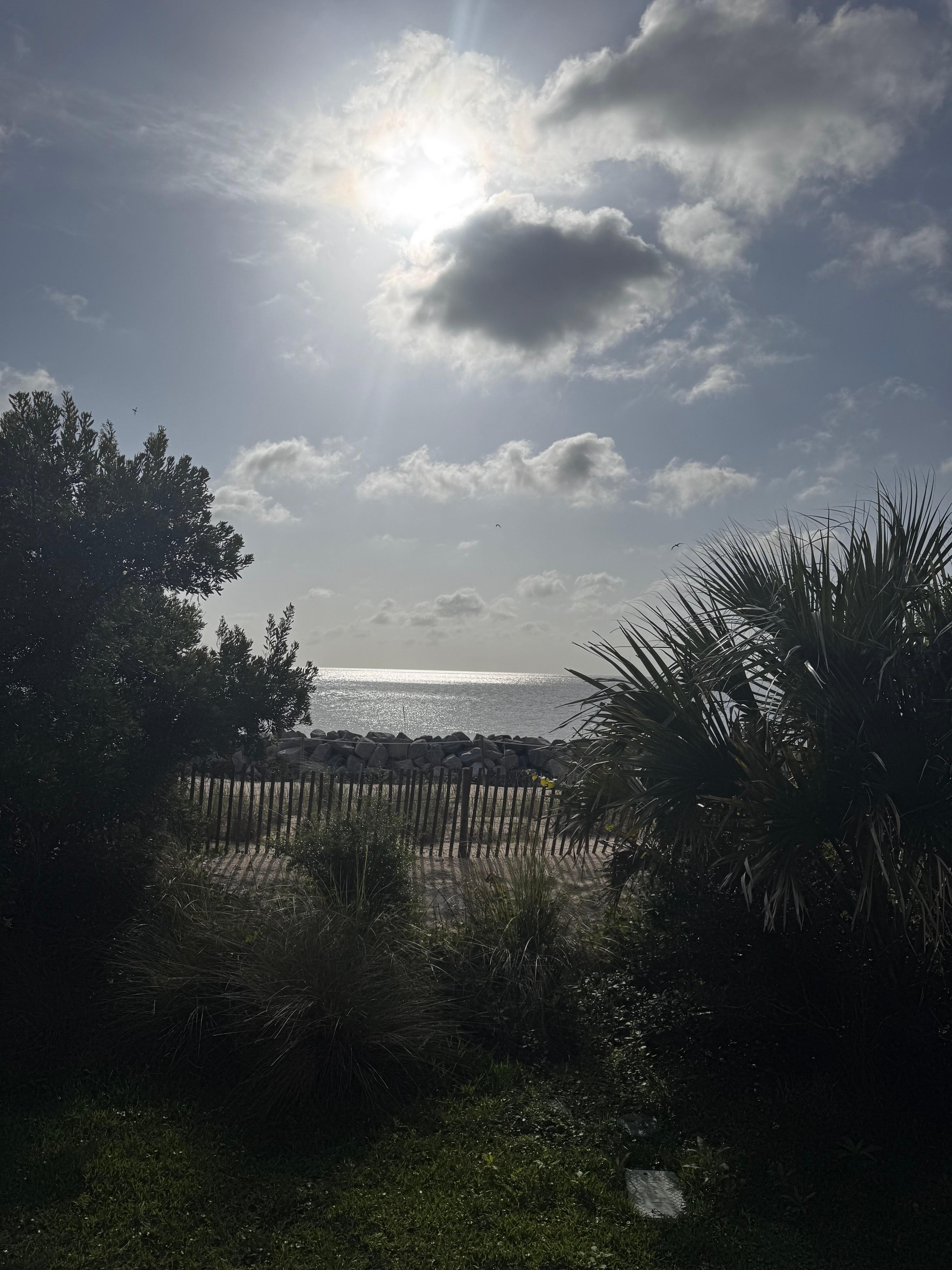 Our deck view ❤️