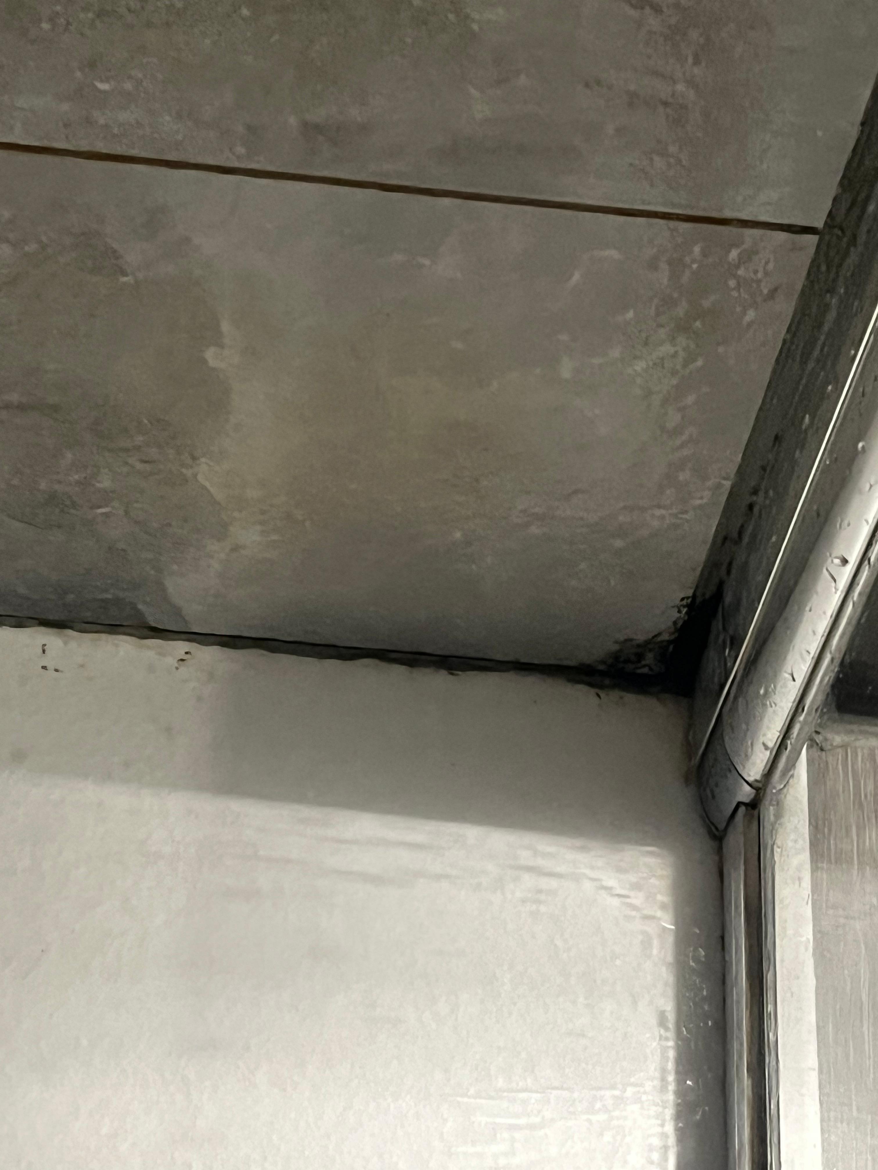 Mold in the shower… for a 4 stars … you expect a better cleaning