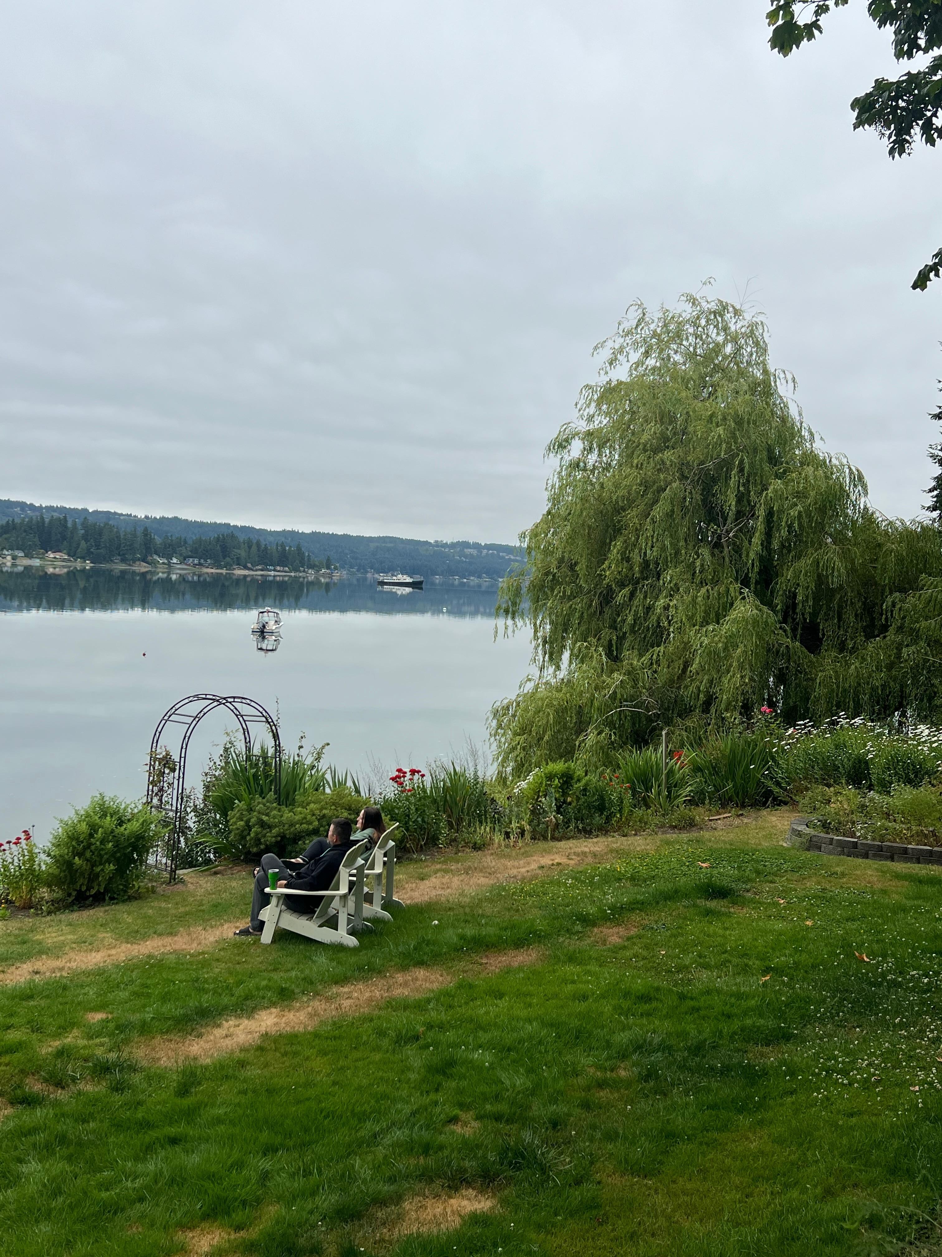 Backyard view