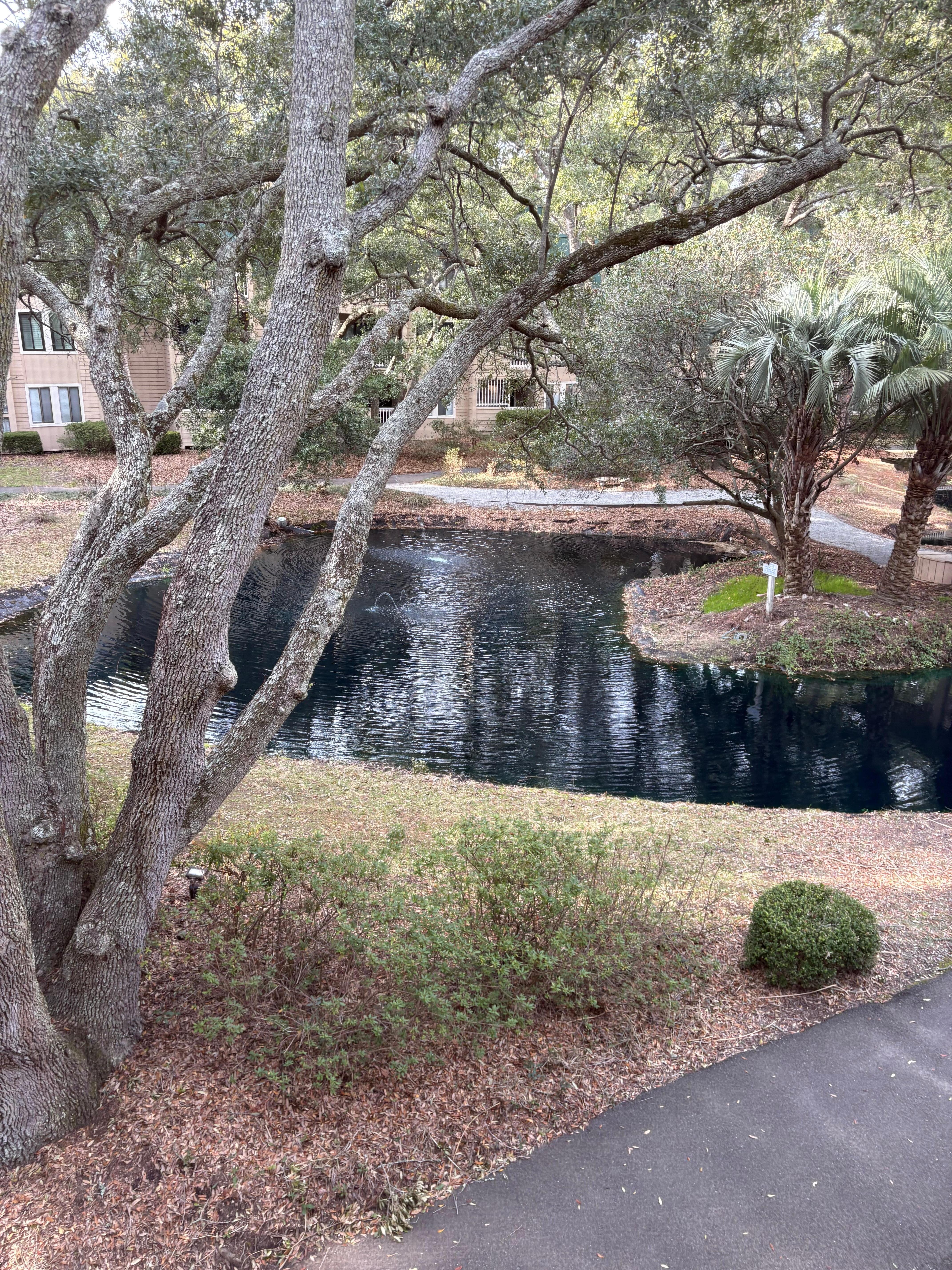 Lagoon view from back 