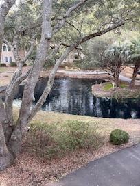 Lagoon view from back