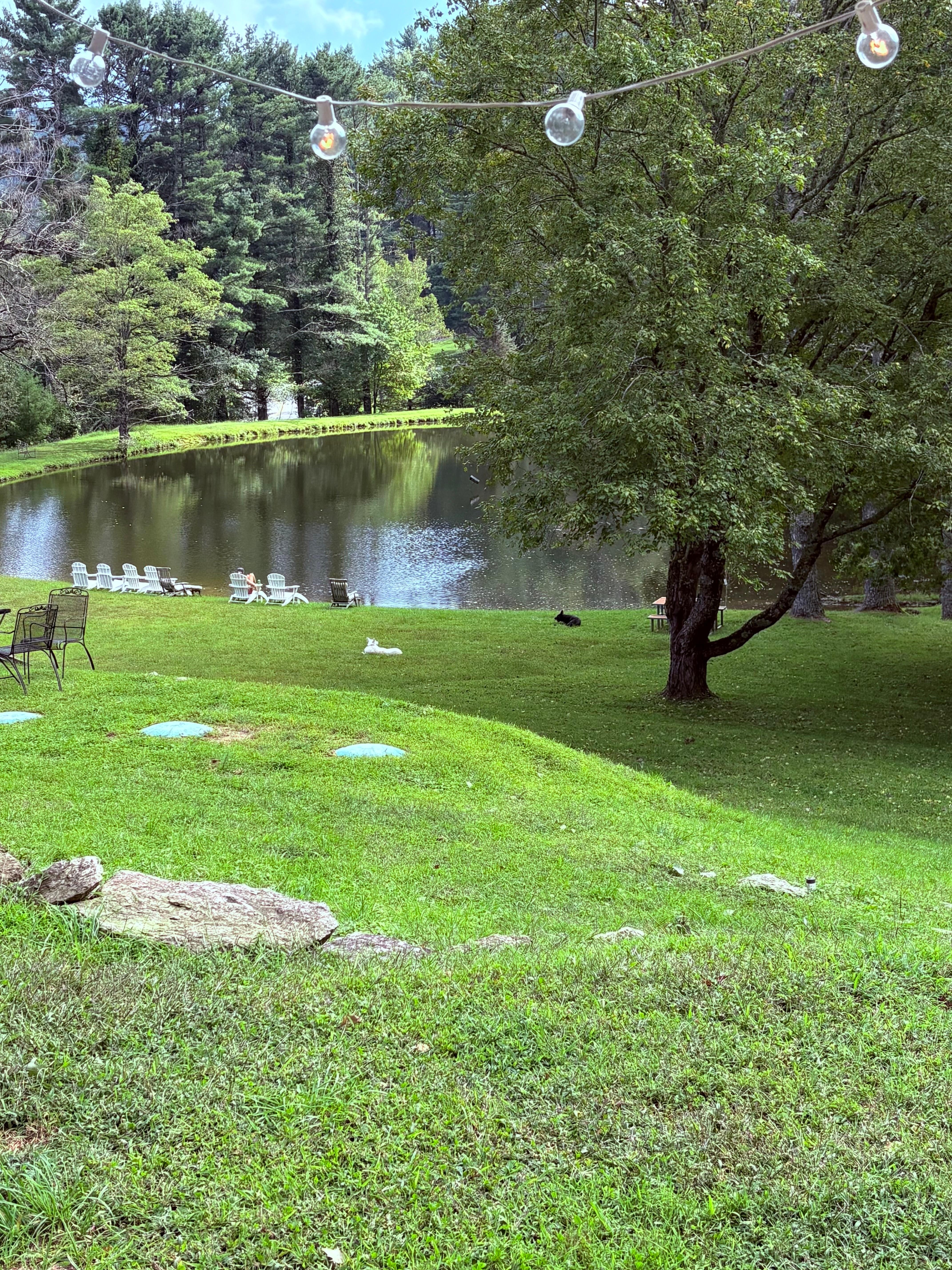 View from the hot tub.