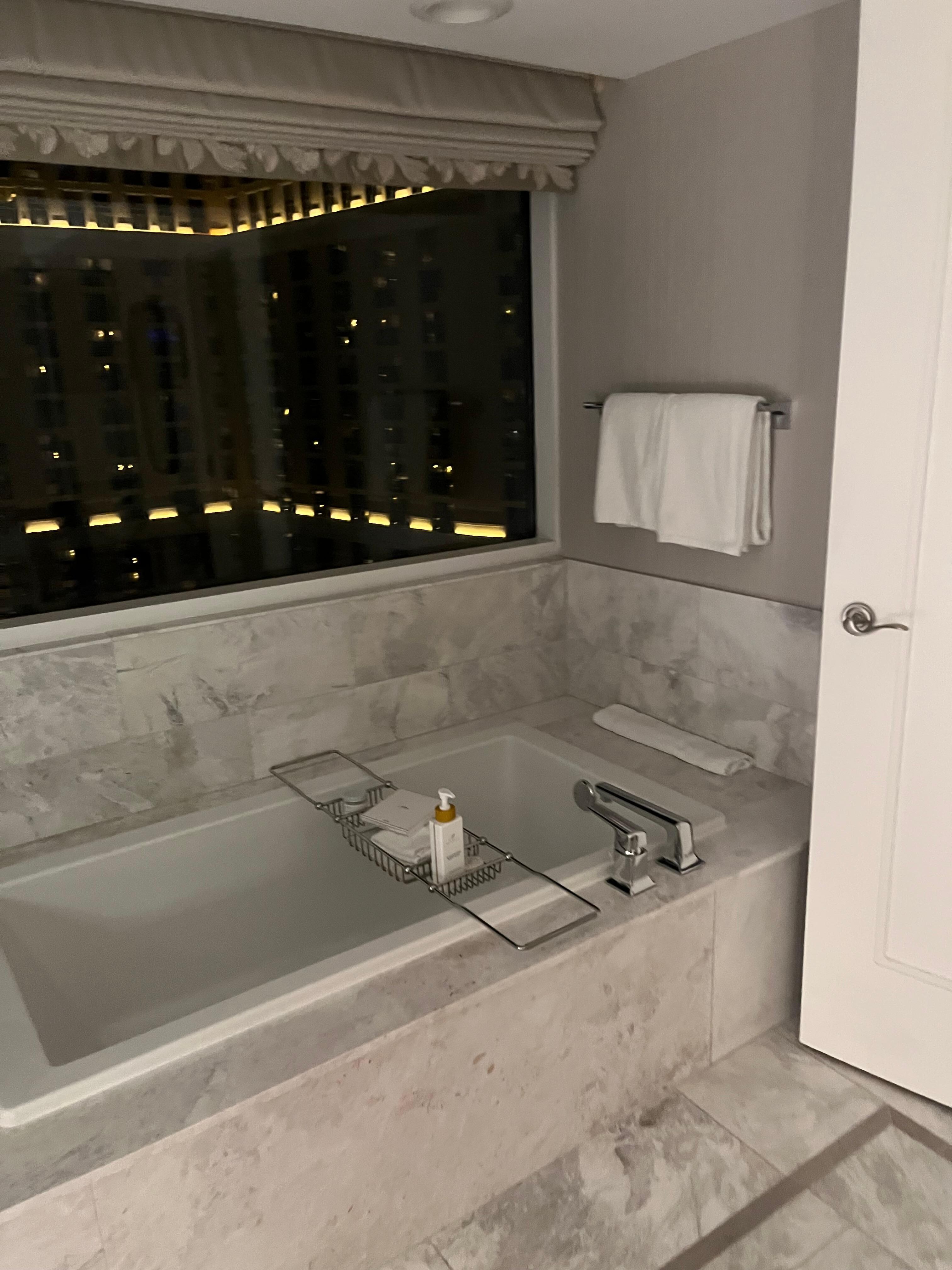 Large tub with a view