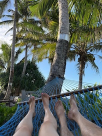 From the hammock