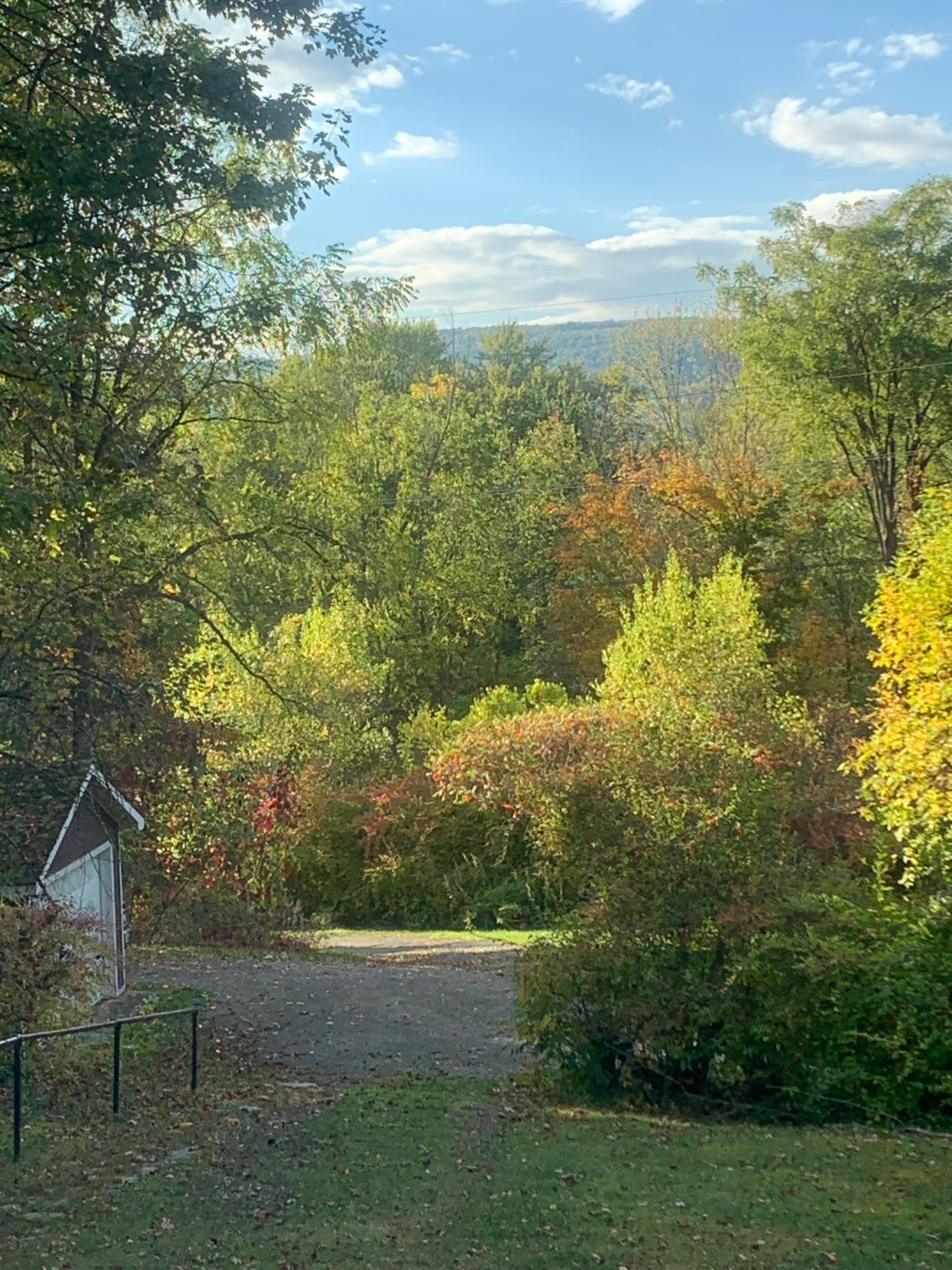 View from the living room. 