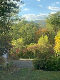 View from the living room.