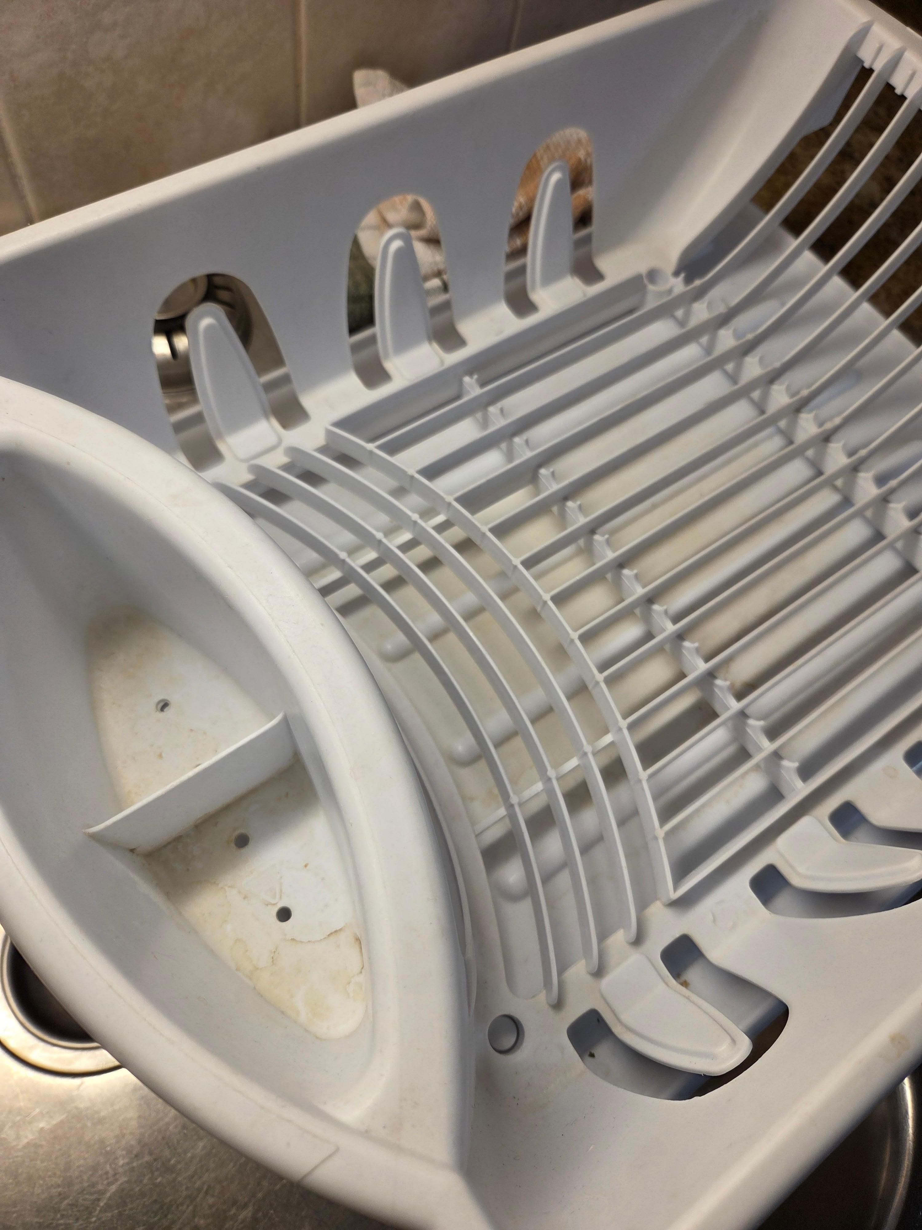 This was my first clue that the kitchen was gross and not well cleaned. Mouldy dish rack. Yuck. 