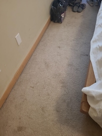 Carpet stains and dirt