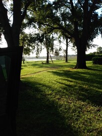 View from the drive