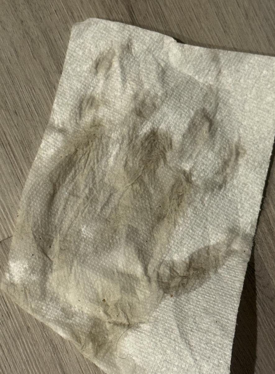 The floors when we arrived - we had to get cleaning supplies to get all the dirt off.