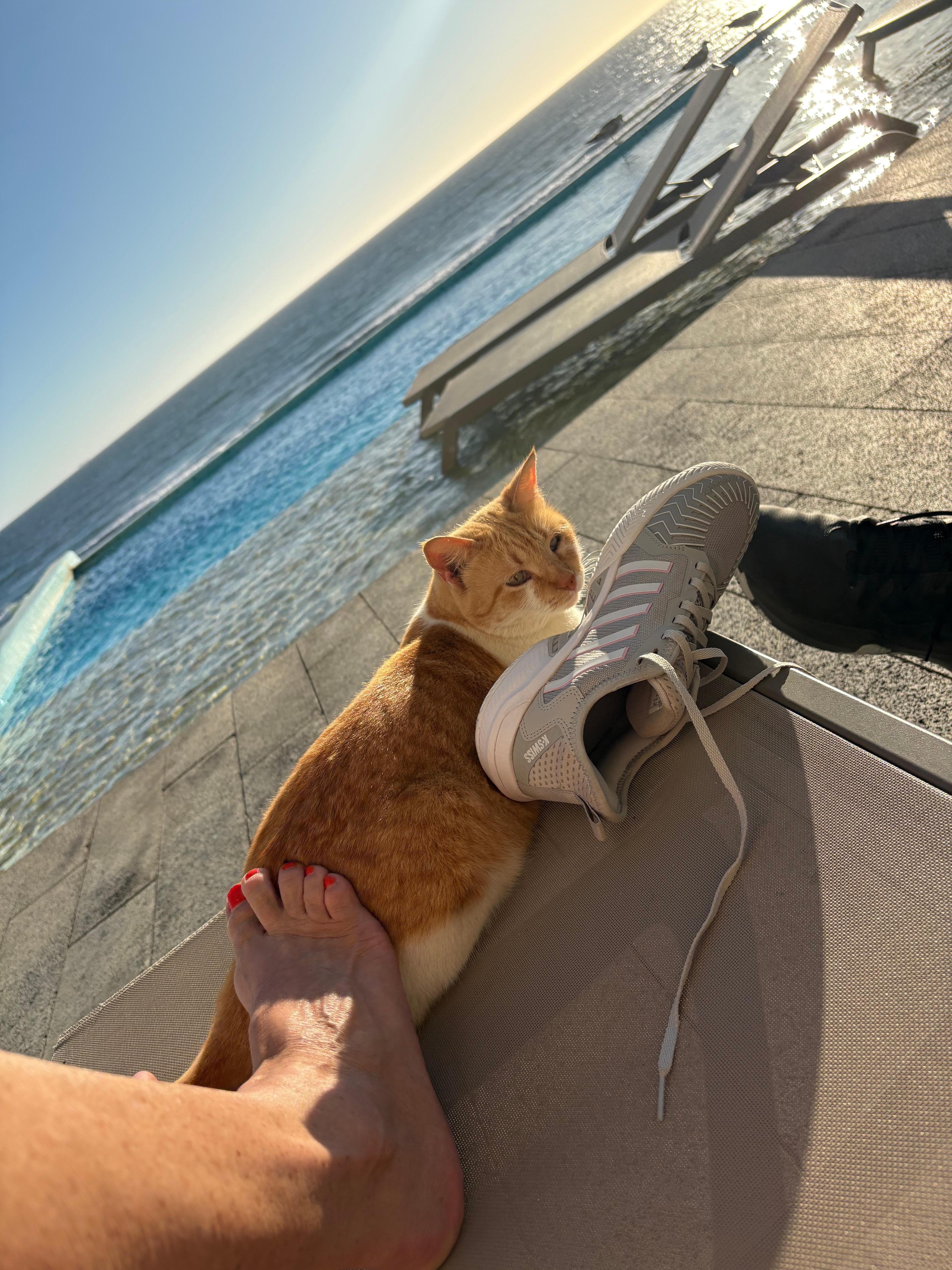 La Nina, the resident gato