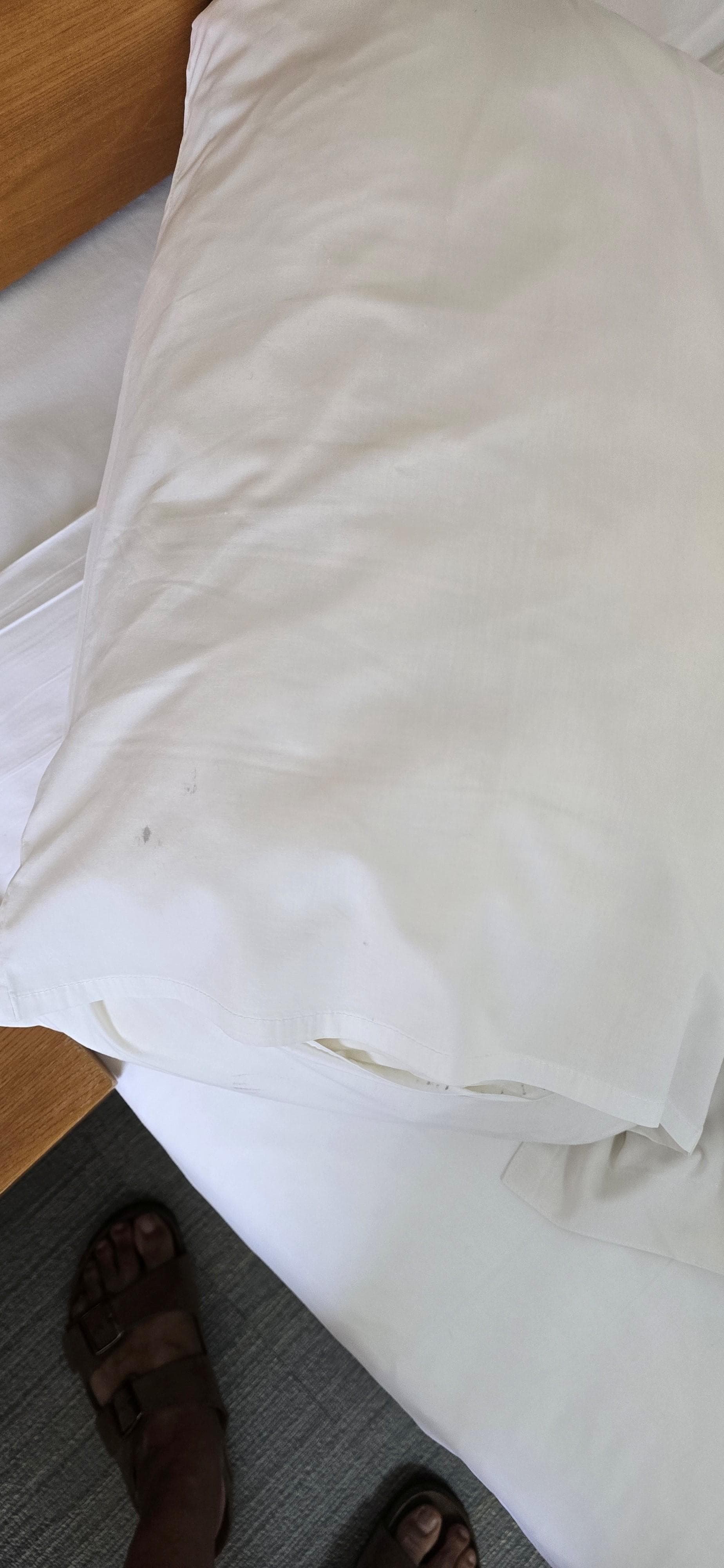 Stain on Pillows