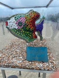 De värnade om stranden!