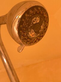 Crusty showerhead