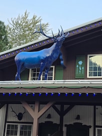 The property was decorated with blue lights