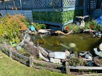 Lovely courtyard pond.