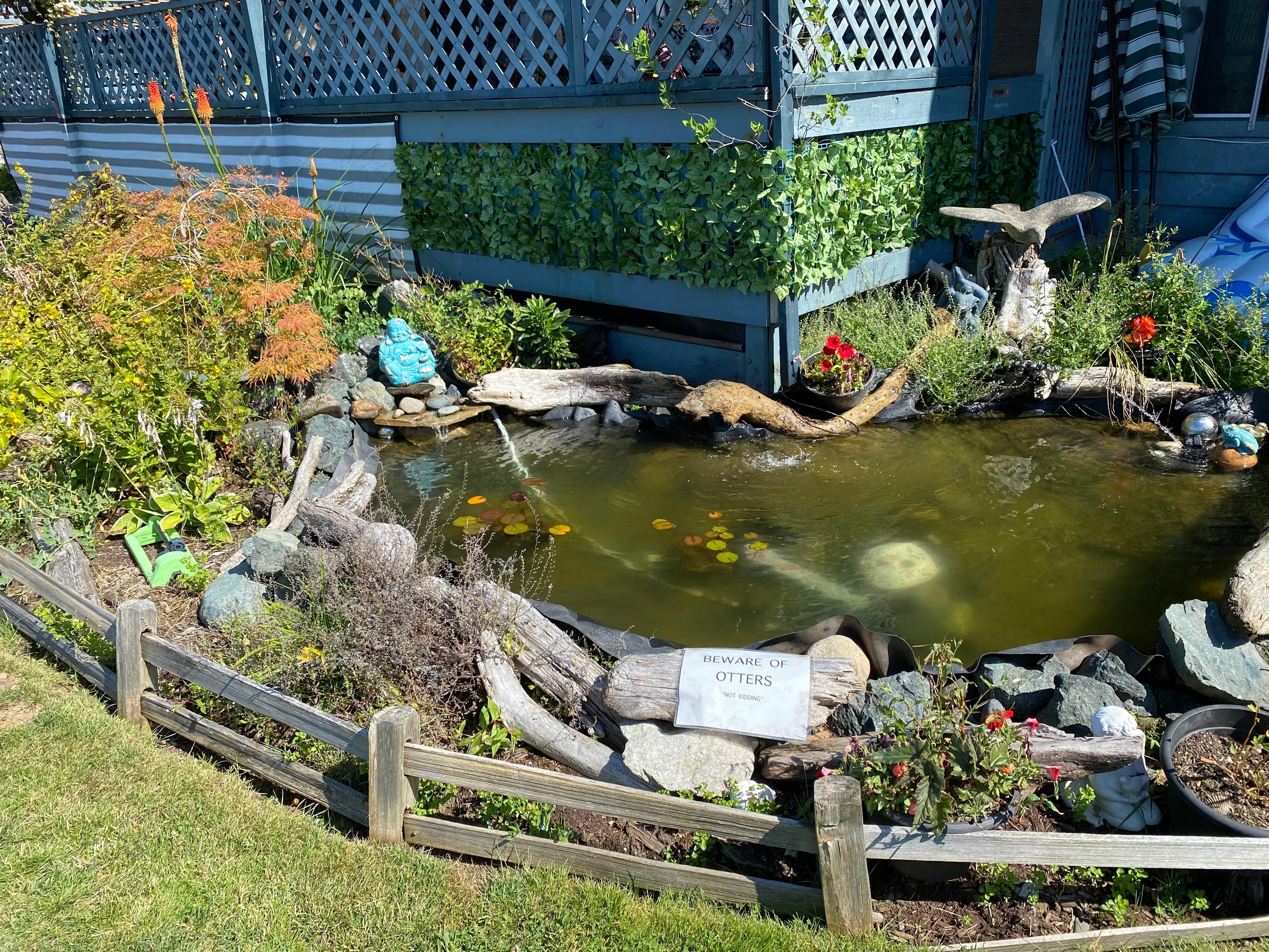 Lovely courtyard pond. 