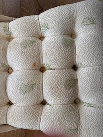 Dining chair cushions, dirty, buttons filthy...