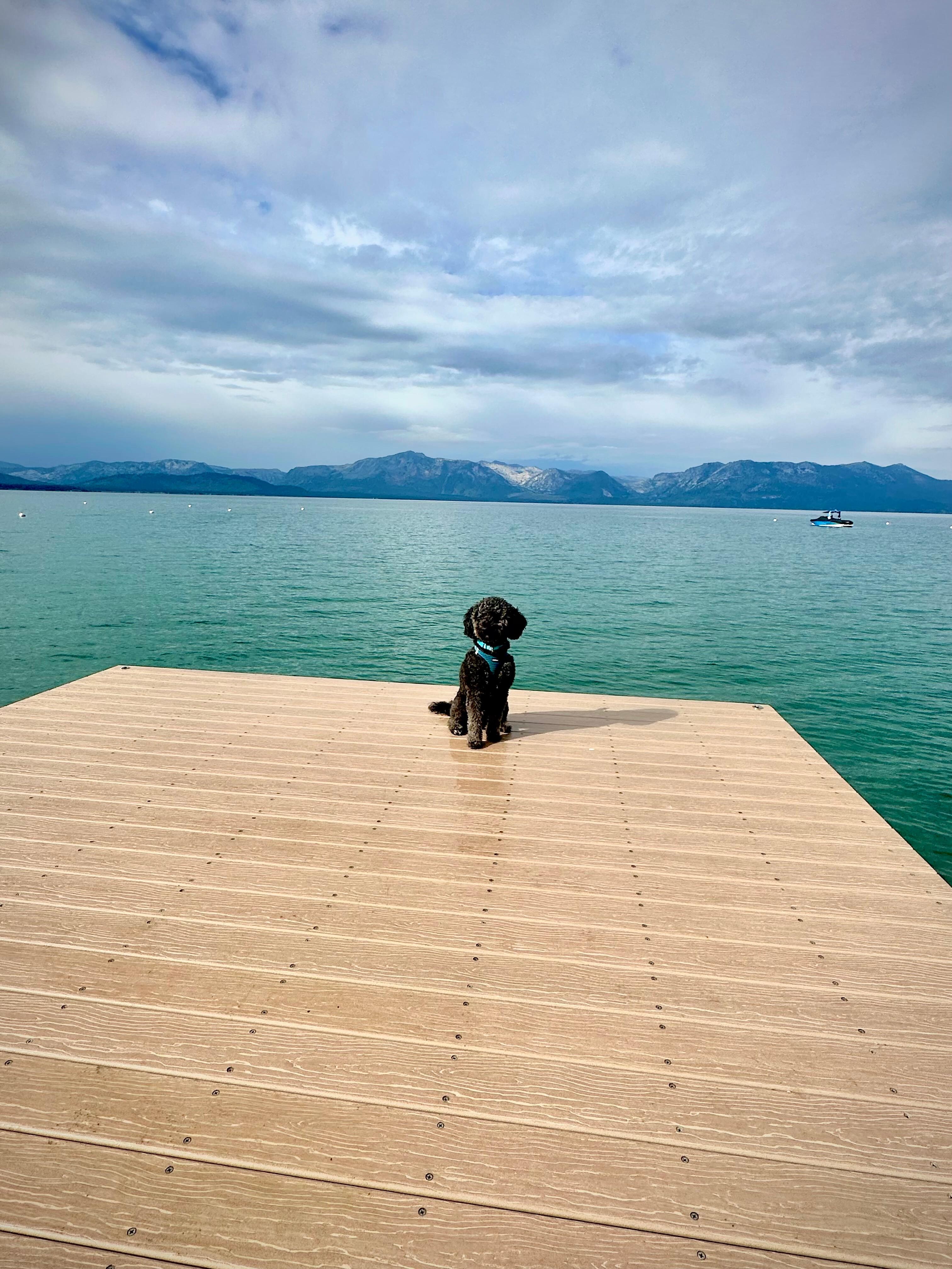 Private dock on property. 