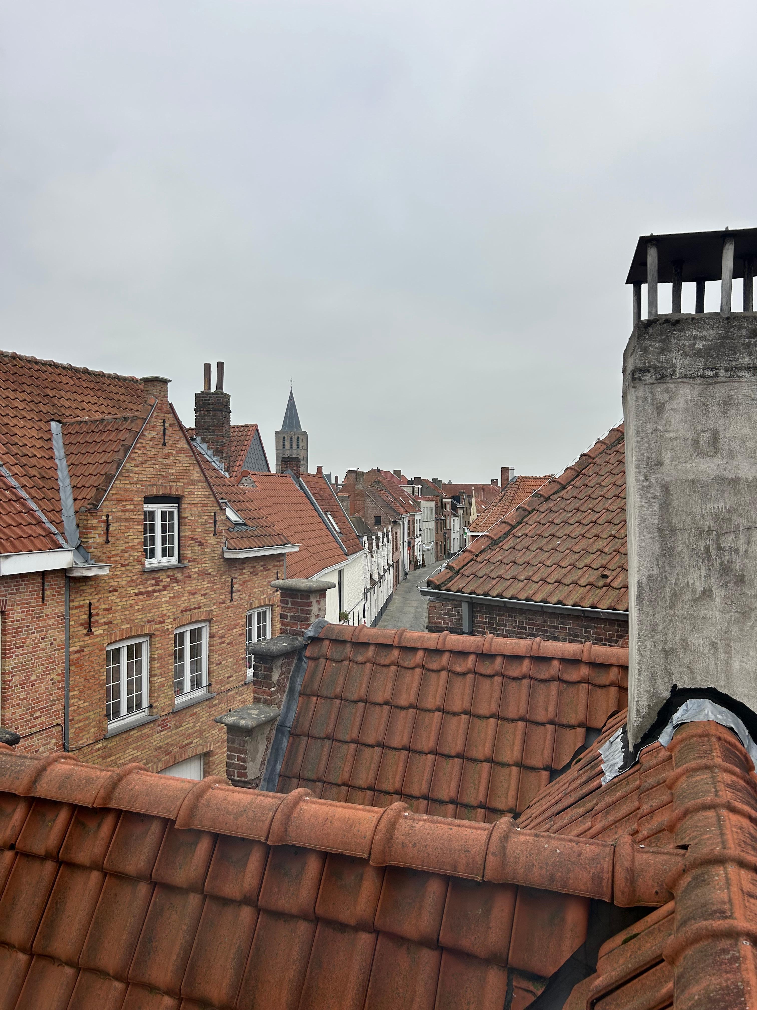 View from the kitchen window