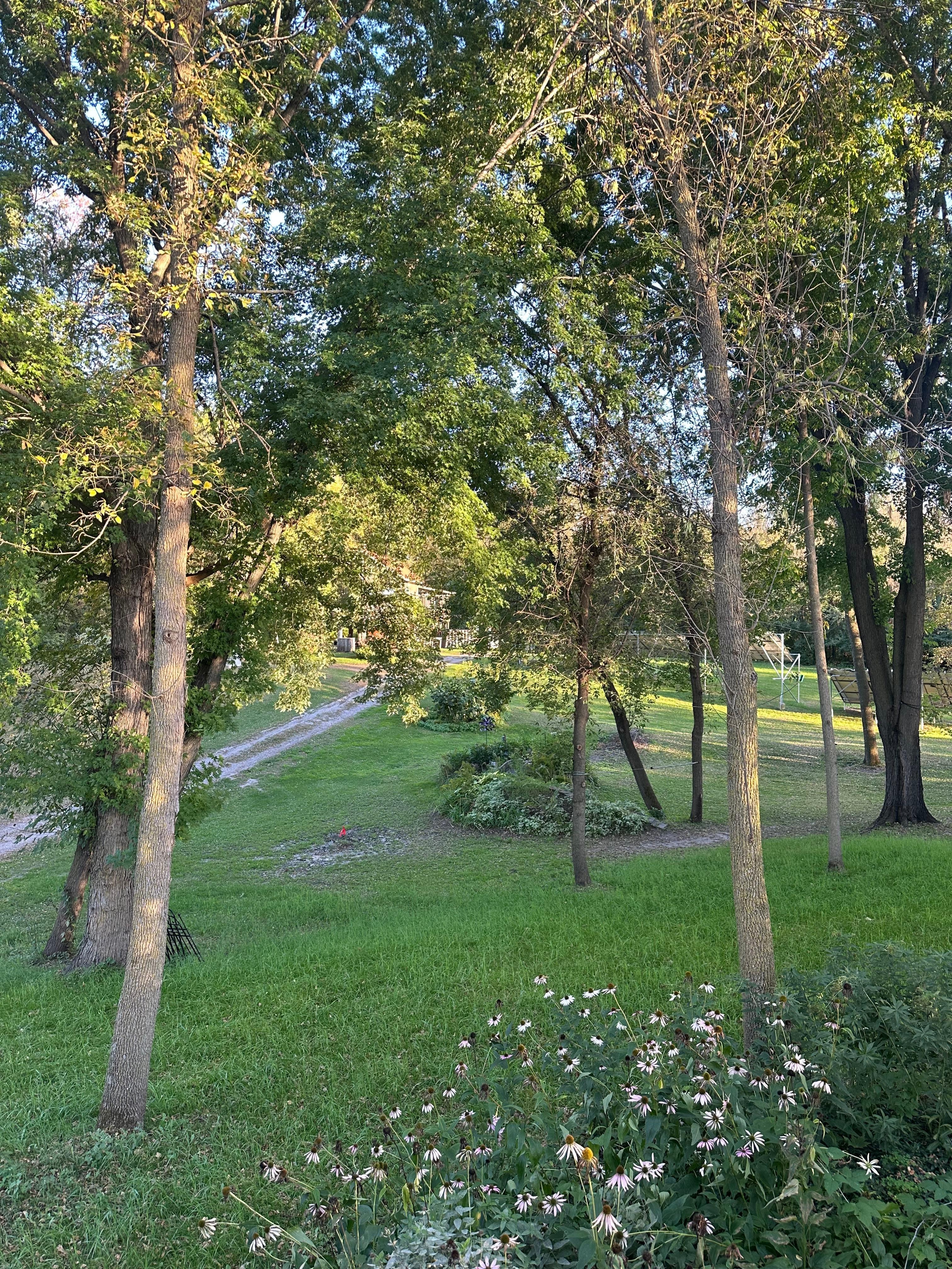 Looking into the yard, from the deck of The Cottage.
