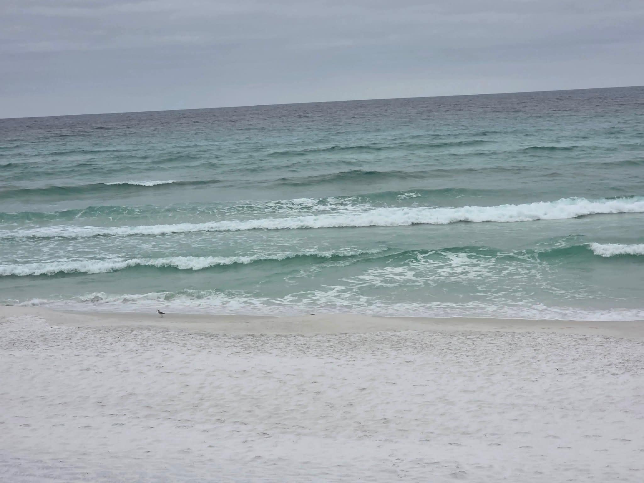 Beachside by the house