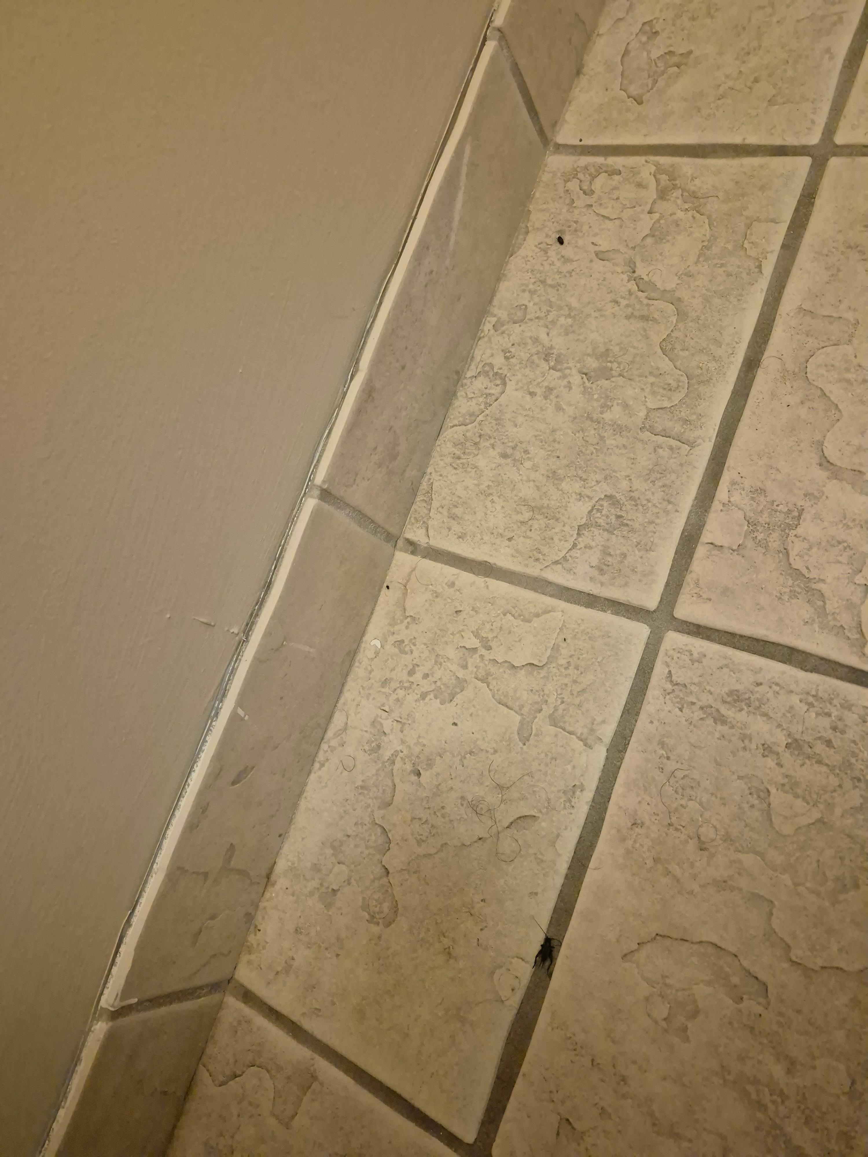 Some of the dead insects