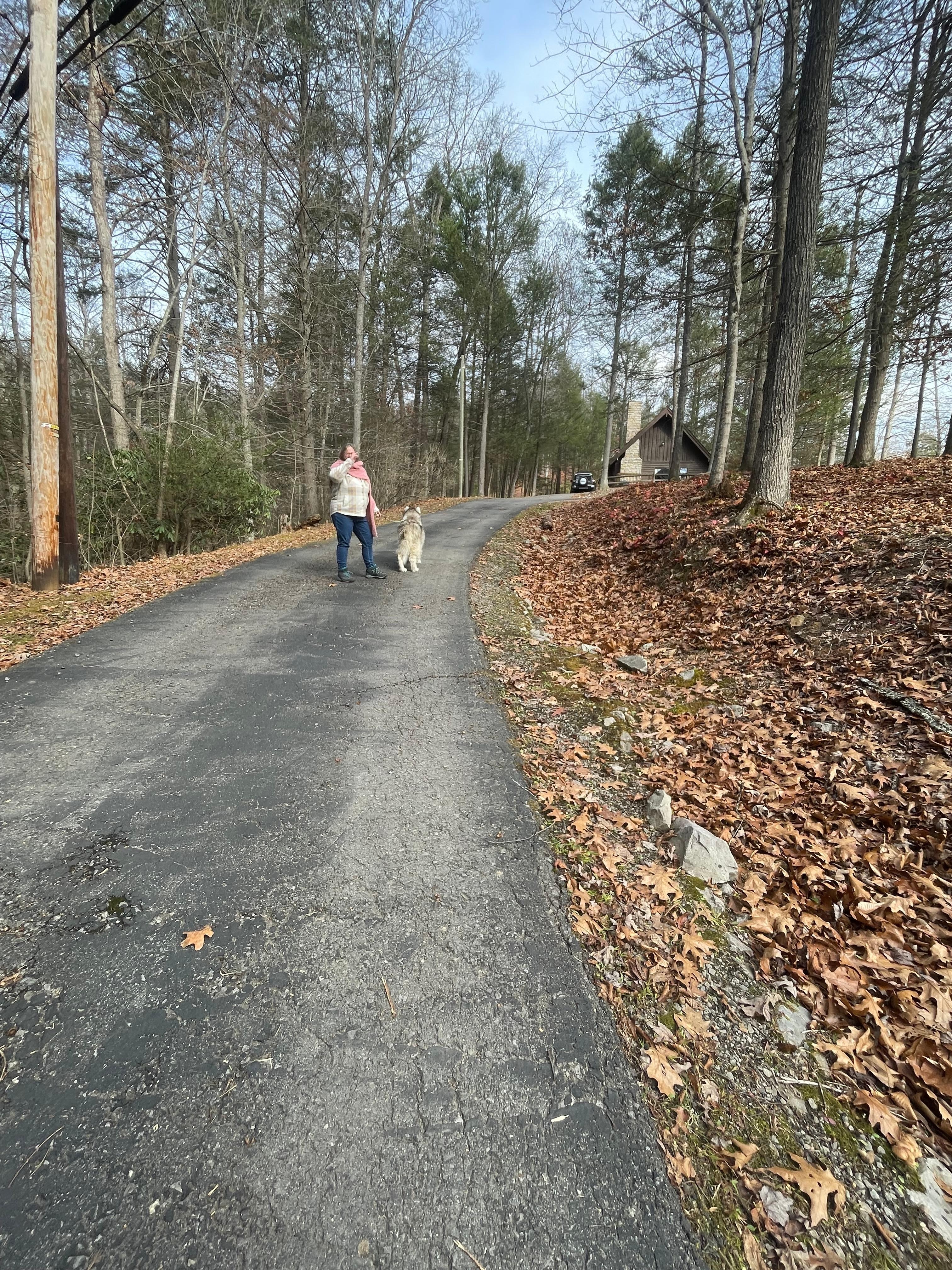 Cabin drive is easily accessed