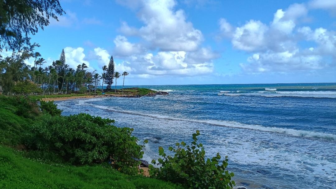 The view from the lawn in front of unit 10