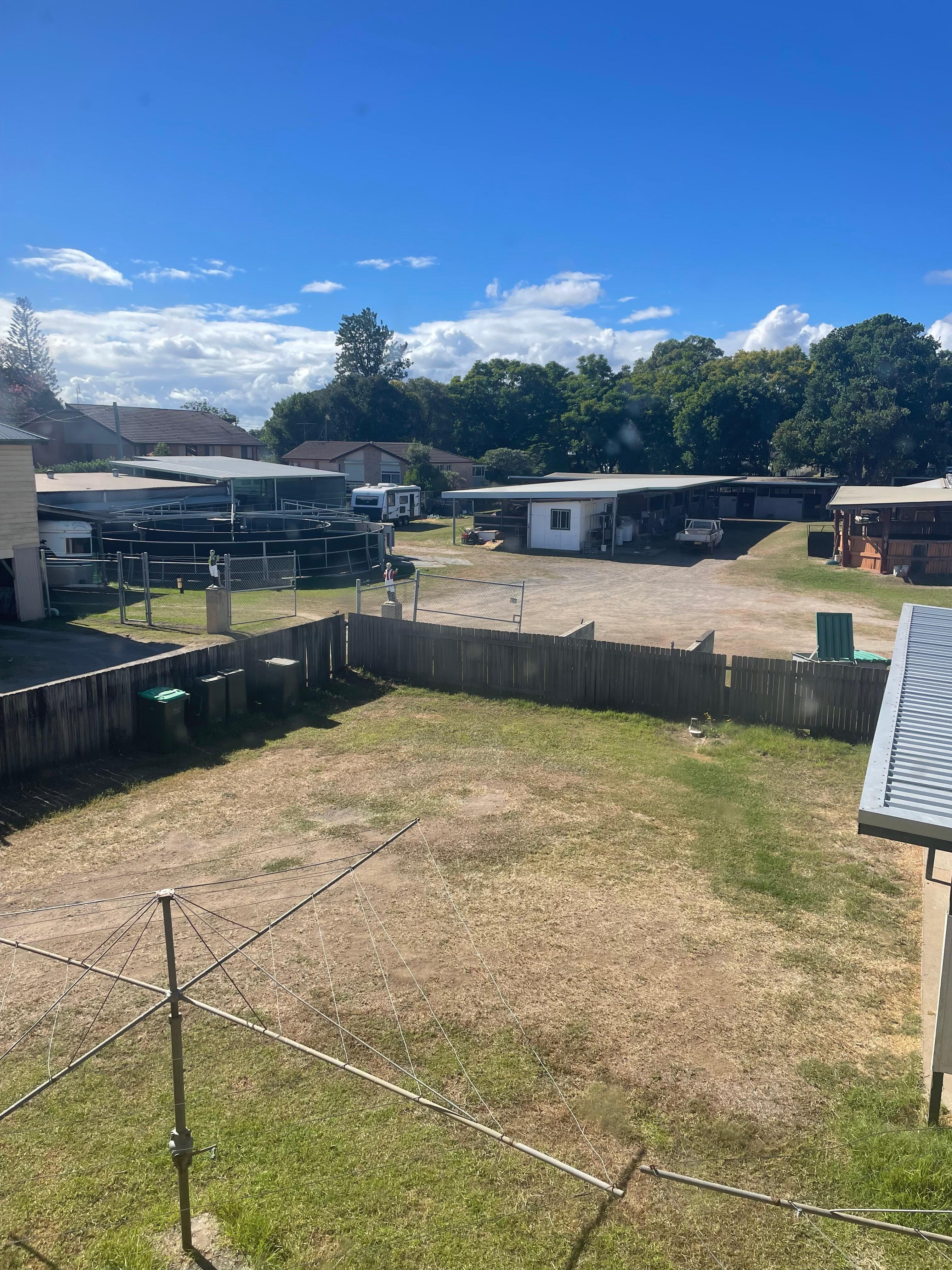 Backyard view from kitchen window 