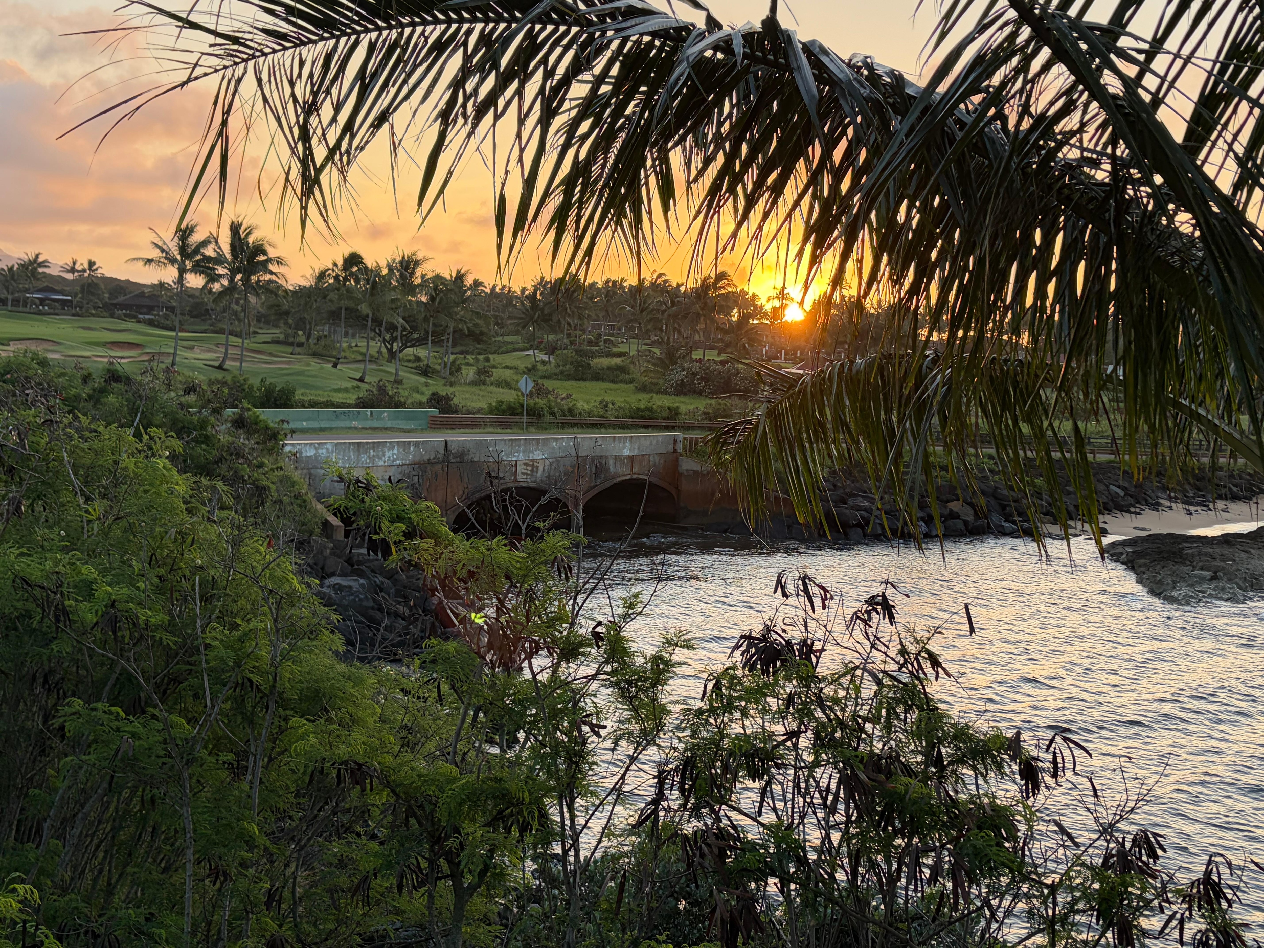 Sunrise from the lanai