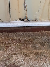Hole in wall where bugs got in