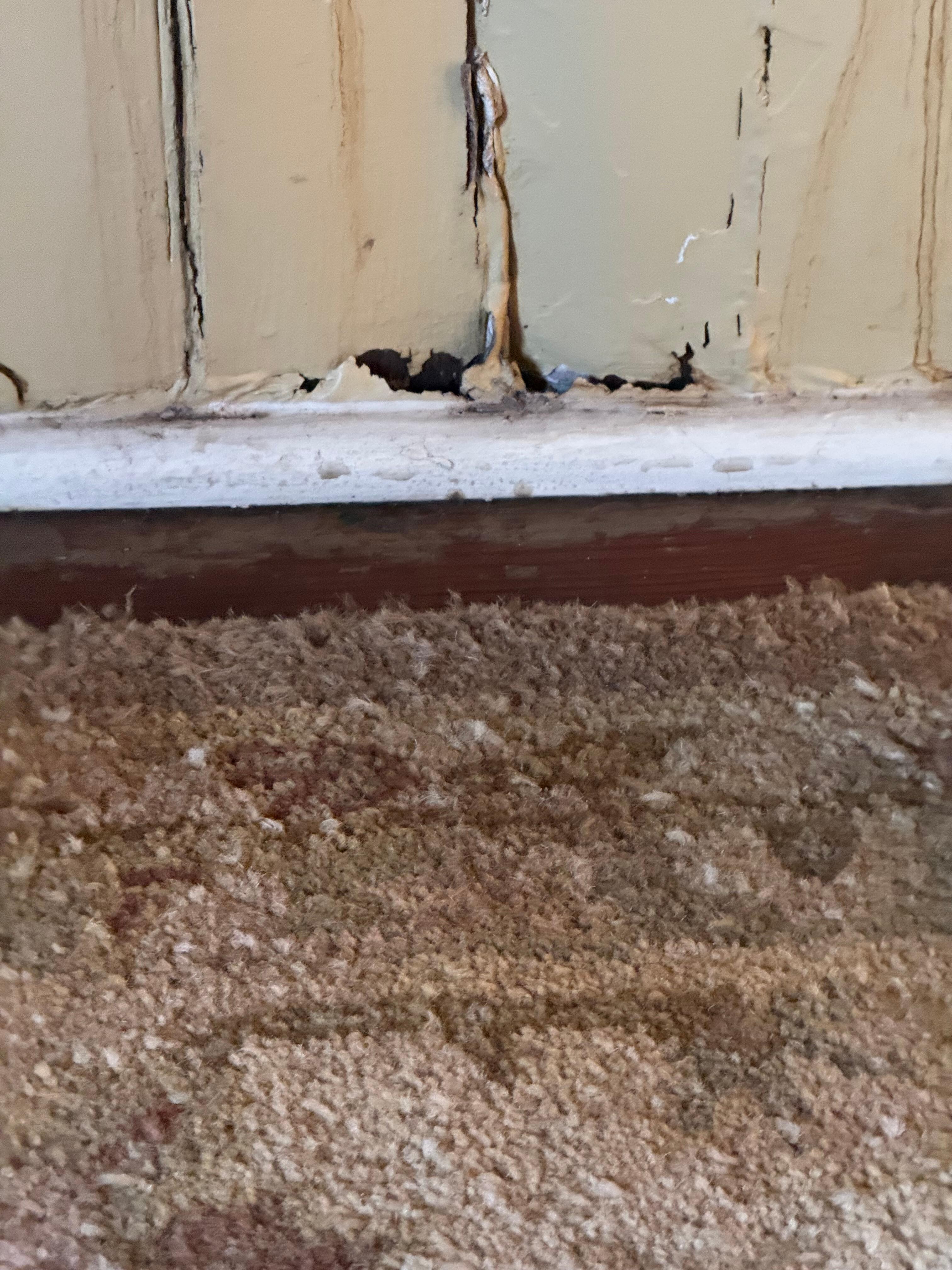 Hole in wall where bugs got in