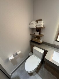 Toilet with toiletries