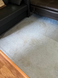 Carpet stains in living room