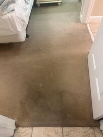 Carpet in the bedroom! Yuck!